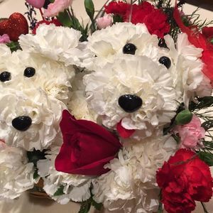 Meet your Posher, Vicki